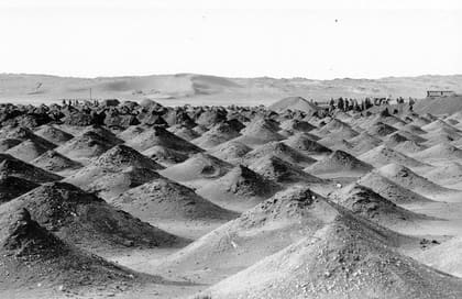 Abraumhügel nach dem Aussieben – jede Kuppe ein abgesuchter Fleck